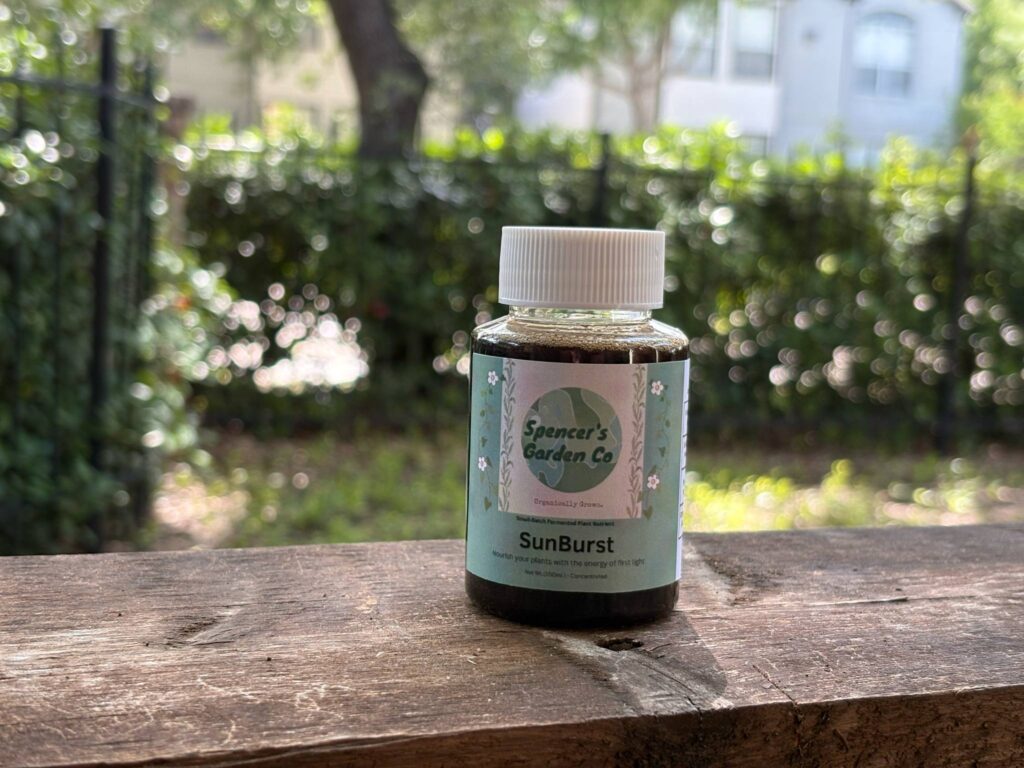 100ml bottle of our SunBurst plant nutrient, best for vegetative growth in both indoor and outdoor gardens.